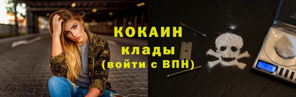 прущие крисы Няндома