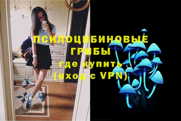 молекула духа Армянск