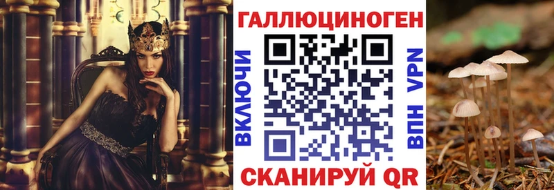 закладки  Сальск  Псилоцибиновые грибы мицелий 