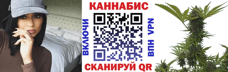 МАРИХУАНА сатива  как найти закладки  Сальск 
